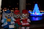 Dcim12858/DSC_0466