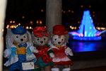 Dcim12858/DSC_0470