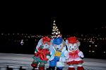 Dcim12860/DSC_1003