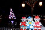Dcim12860/DSC_1073