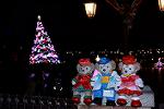 Dcim12860/DSC_1074