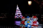 Dcim12860/DSC_1077