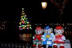 Dcim12860/DSC_1083