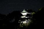 Dcim12863/DSC_1202