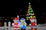 Dcim12866/DSC_3956