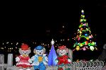 Dcim12866/DSC_3960