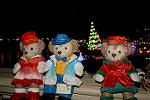 Dcim12874/DSC_2456