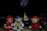 Dcim12874/DSC_2460