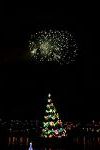Dcim12874/DSC_2556