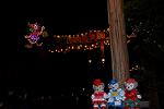 Dcim12876/DSC_2898