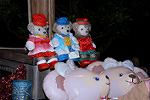 Dcim12876/DSC_2904