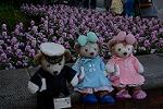 Dcim12881/DSC_3428