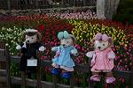 Dcim12881/DSC_3467