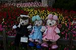 Dcim12881/DSC_3468