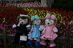 Dcim12881/DSC_3469