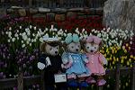 Dcim12881/DSC_3470