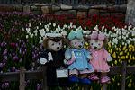 Dcim12881/DSC_3471
