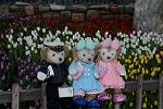 Dcim12881/DSC_3472