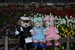 Dcim12881/DSC_3481