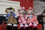 Dcim12887/DSC_3931