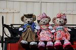Dcim12887/DSC_3977