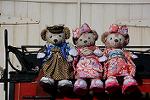 Dcim12887/DSC_3978