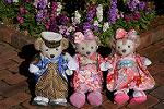 Dcim12887/DSC_3987
