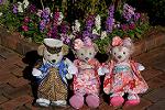 Dcim12887/DSC_3988
