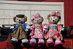Dcim12887/DSC_3992