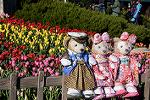 Dcim12888/DSC_4087