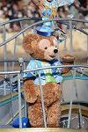 Dcim12897/DSC_5262