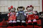 Dcim12899/DSC_5451