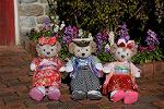Dcim12899/DSC_5473