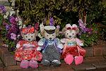 Dcim12899/DSC_5487