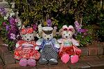 Dcim12899/DSC_5488