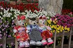 Dcim12899/DSC_5503