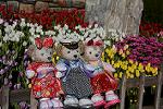 Dcim12899/DSC_5505