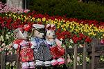 Dcim12899/DSC_5512