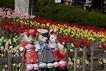 Dcim12899/DSC_5513