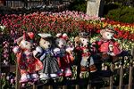 Dcim12901/DSC_5724
