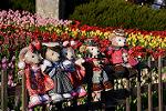 Dcim12901/DSC_5725