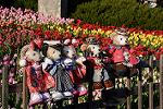 Dcim12901/DSC_5727