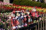 Dcim12901/DSC_5728