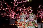 Dcim12910/DSC_6769