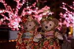 Dcim12910/DSC_6803