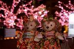 Dcim12910/DSC_6804