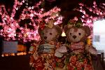 Dcim12910/DSC_6806