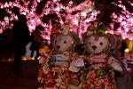 Dcim12910/DSC_6810