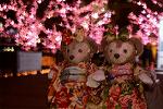 Dcim12910/DSC_6812
