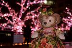 Dcim12911/DSC_6853